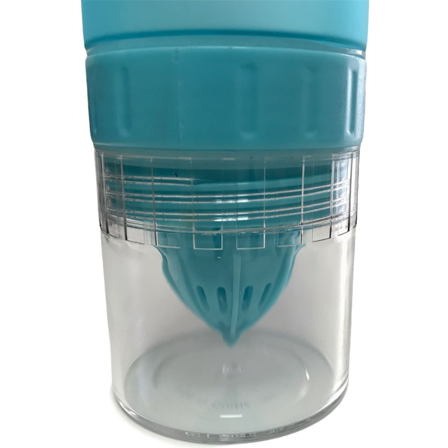 Infuser Water Bottle Gym Sports School Infusing Fruit Juice Maker BPA Free Cup